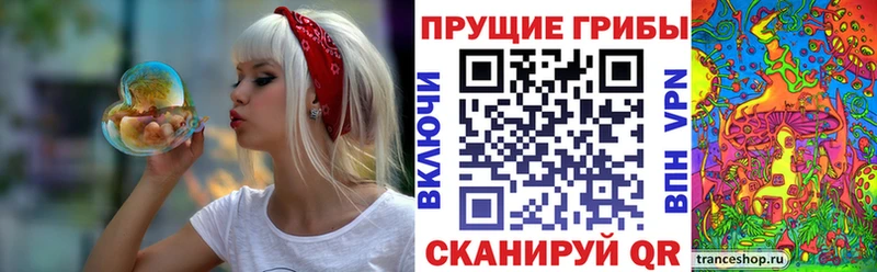 как найти наркотики  Щёлково  Галлюциногенные грибы MAGIC MUSHROOMS 